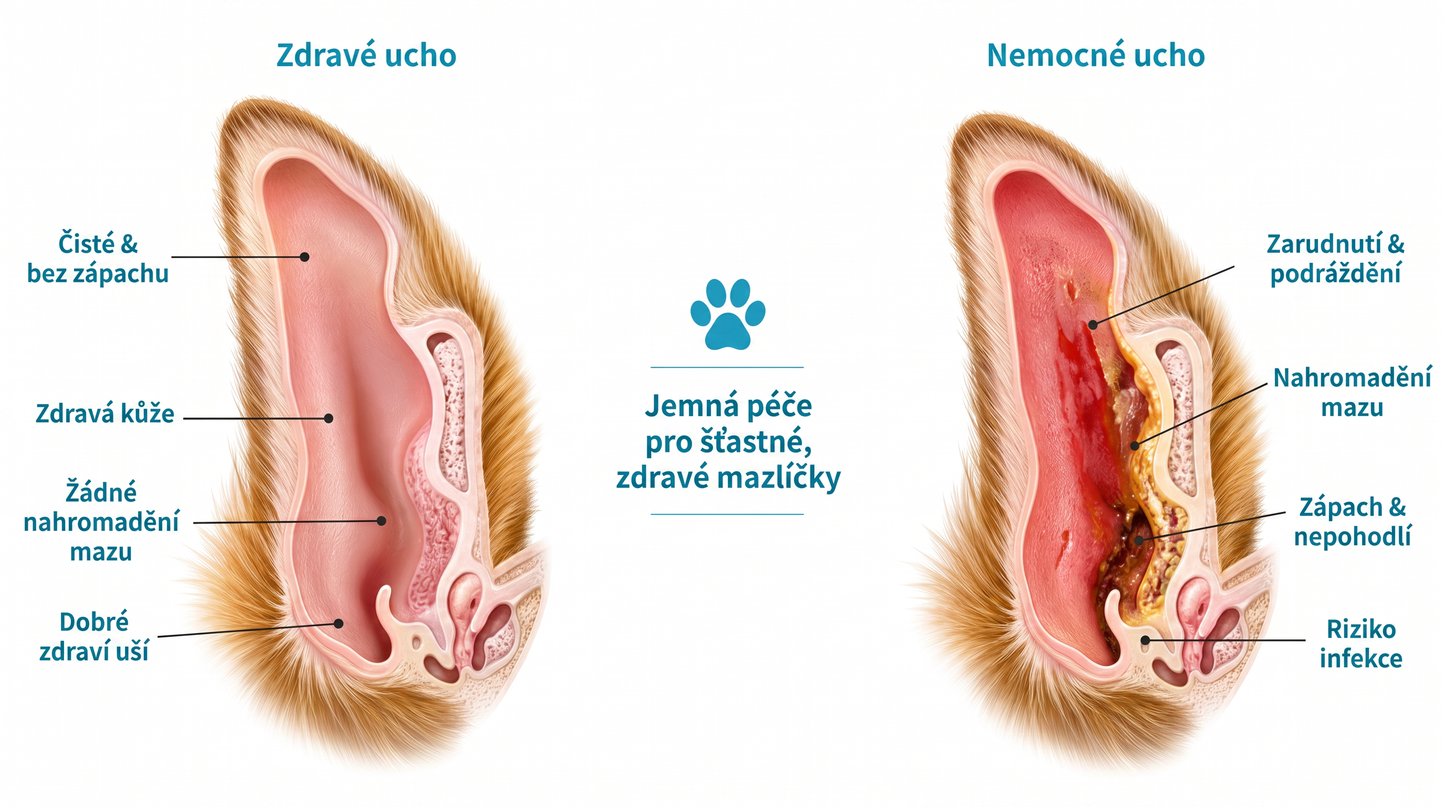 𝐏𝐊𝐍𝐄𝐖® Š𝐞𝐭𝐫𝐧é č𝐢š𝐭ě𝐧í 𝐮ší 𝐩𝐫𝐨 𝐝𝐨𝐦á𝐜í 𝐦𝐚𝐳𝐥íč𝐤𝐲 | Č𝐢š𝐭ě𝐧í 𝐛𝐞𝐳 𝐳á𝐩𝐚𝐜𝐡𝐮 𝐩𝐫𝐨 𝐩𝐬𝐲 𝐚 𝐤𝐨č𝐤𝐲 💎