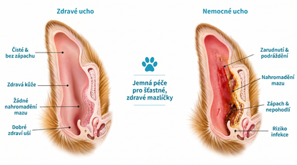 𝐏𝐊𝐍𝐄𝐖® Š𝐞𝐭𝐫𝐧é č𝐢š𝐭ě𝐧í 𝐮ší 𝐩𝐫𝐨 𝐝𝐨𝐦á𝐜í 𝐦𝐚𝐳𝐥íč𝐤𝐲 | Č𝐢š𝐭ě𝐧í 𝐛𝐞𝐳 𝐳á𝐩𝐚𝐜𝐡𝐮 𝐩𝐫𝐨 𝐩𝐬𝐲 𝐚 𝐤𝐨č𝐤𝐲 💎