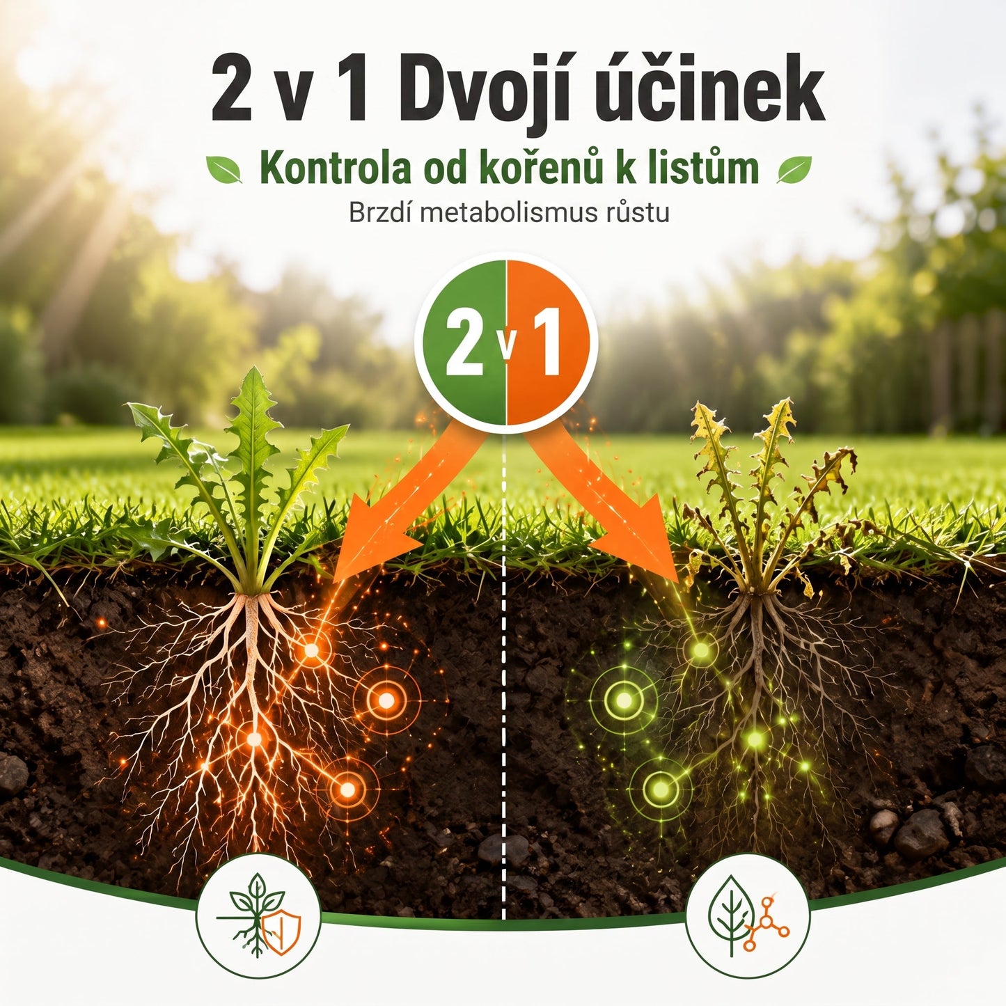 PKNEW® Granulovaný přípravek proti plevelu 2 v 1 Max Power 👑 – viditelný účinek již za 6 hodin, snadné rozmíchání ve vodě a cílené použití na spáry, cesty, ploty i štěrkové plochy 💎