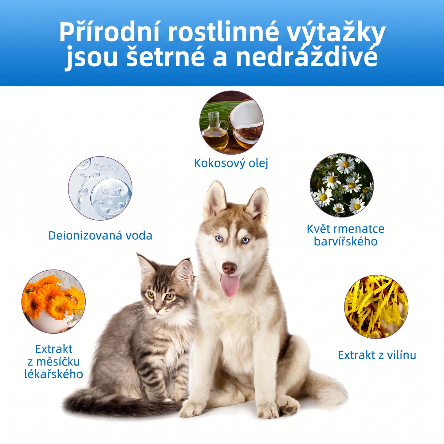 𝐏𝐊𝐍𝐄𝐖® Š𝐞𝐭𝐫𝐧é č𝐢š𝐭ě𝐧í 𝐮ší 𝐩𝐫𝐨 𝐝𝐨𝐦á𝐜í 𝐦𝐚𝐳𝐥íč𝐤𝐲 | Č𝐢š𝐭ě𝐧í 𝐛𝐞𝐳 𝐳á𝐩𝐚𝐜𝐡𝐮 𝐩𝐫𝐨 𝐩𝐬𝐲 𝐚 𝐤𝐨č𝐤𝐲 💎