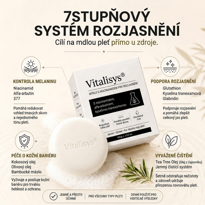 🔥🔥Vitalisys® Niacinamidové rozjasňující mýdlo pro pleť, tmavé skvrny a pihy 💆‍♀️